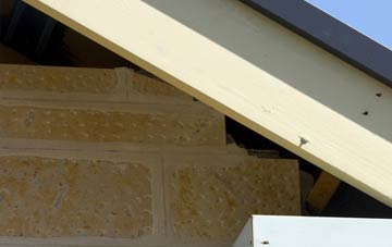 soffit repair Arkendale