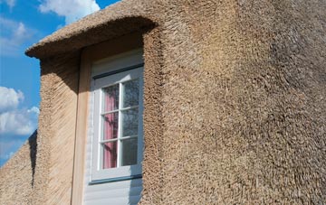 Arkendale thatch roof disadvantages